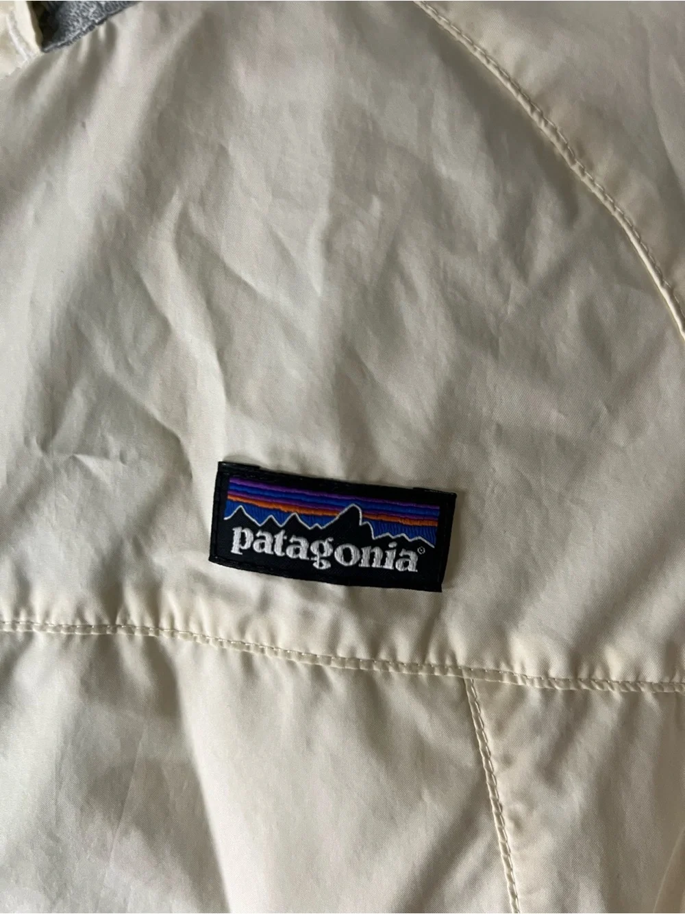 Patagonia Windbreaker